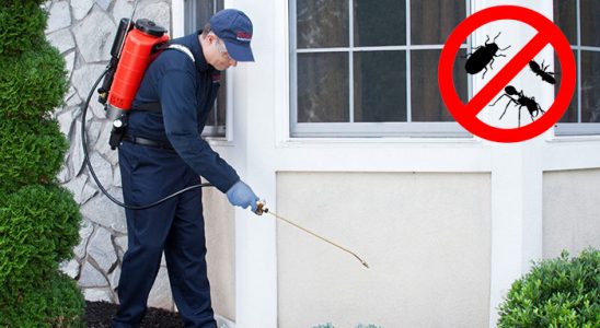 Sarayköy Kemirgen İlaçlama böcek ilaçlama ve haşere kontrolü — ilaclama-tr.com